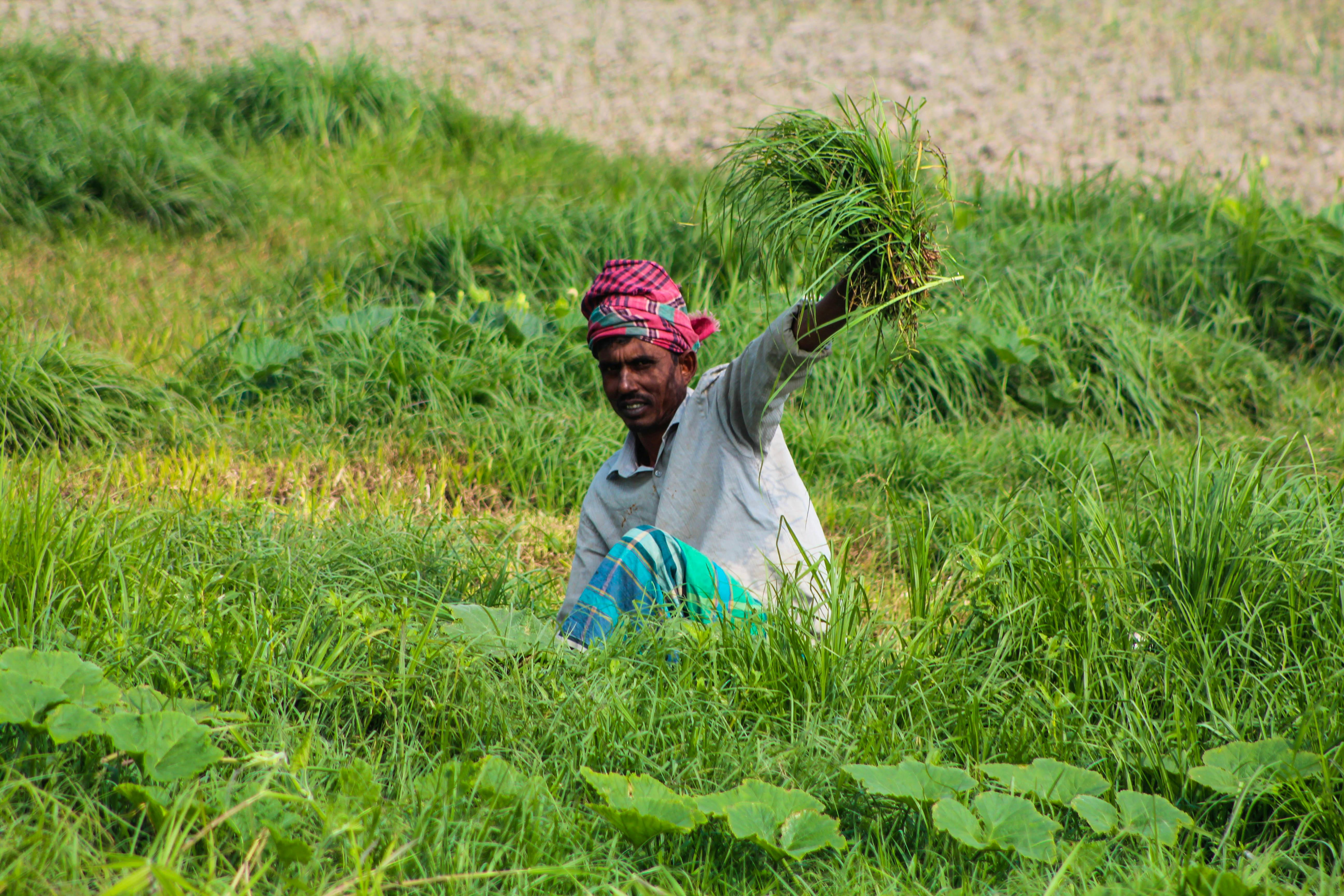 Farm Background
